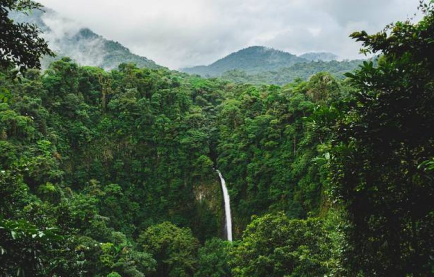 Costa Rica Eco-Adventure